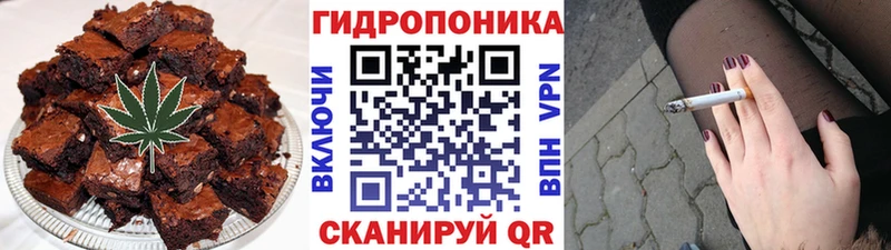 сайты даркнета телеграм  Губкин  Еда ТГК конопля 