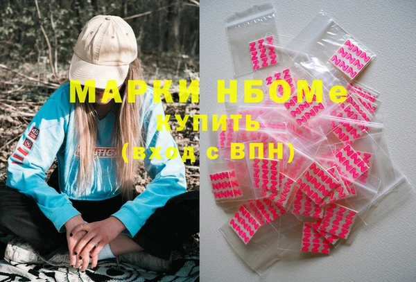 ECSTASY Горняк