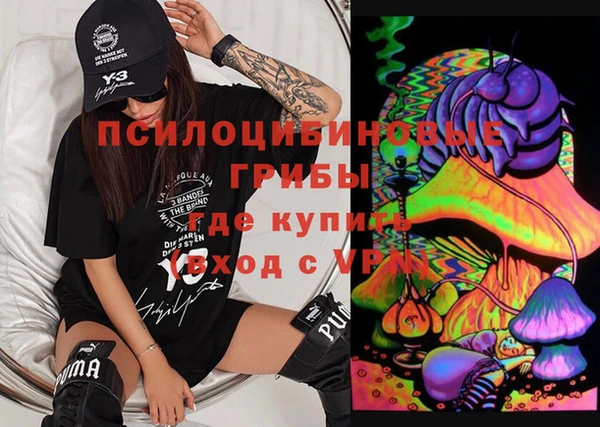 ECSTASY Горняк