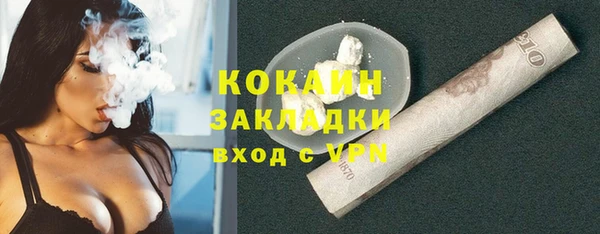 ECSTASY Горняк
