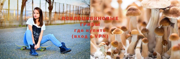 ECSTASY Горняк
