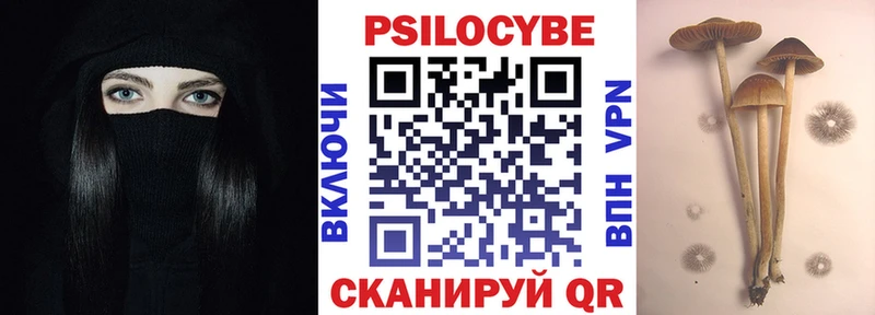 hydra как зайти  Губкин  Галлюциногенные грибы мухоморы 